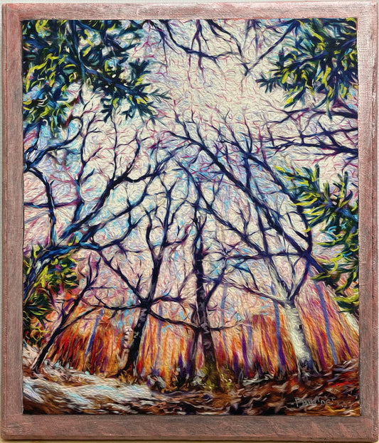 Boreal Colors