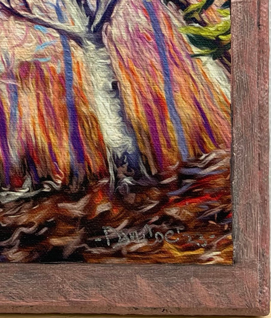 Boreal Colors