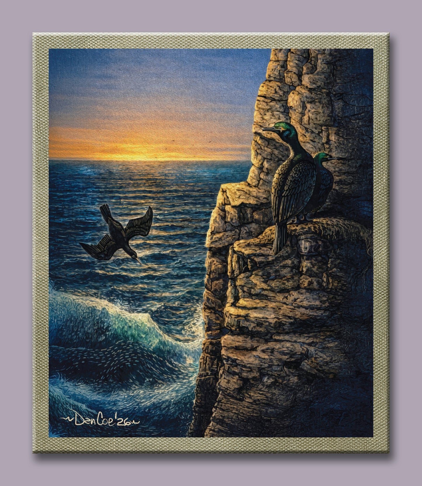 Cormorants Rocks