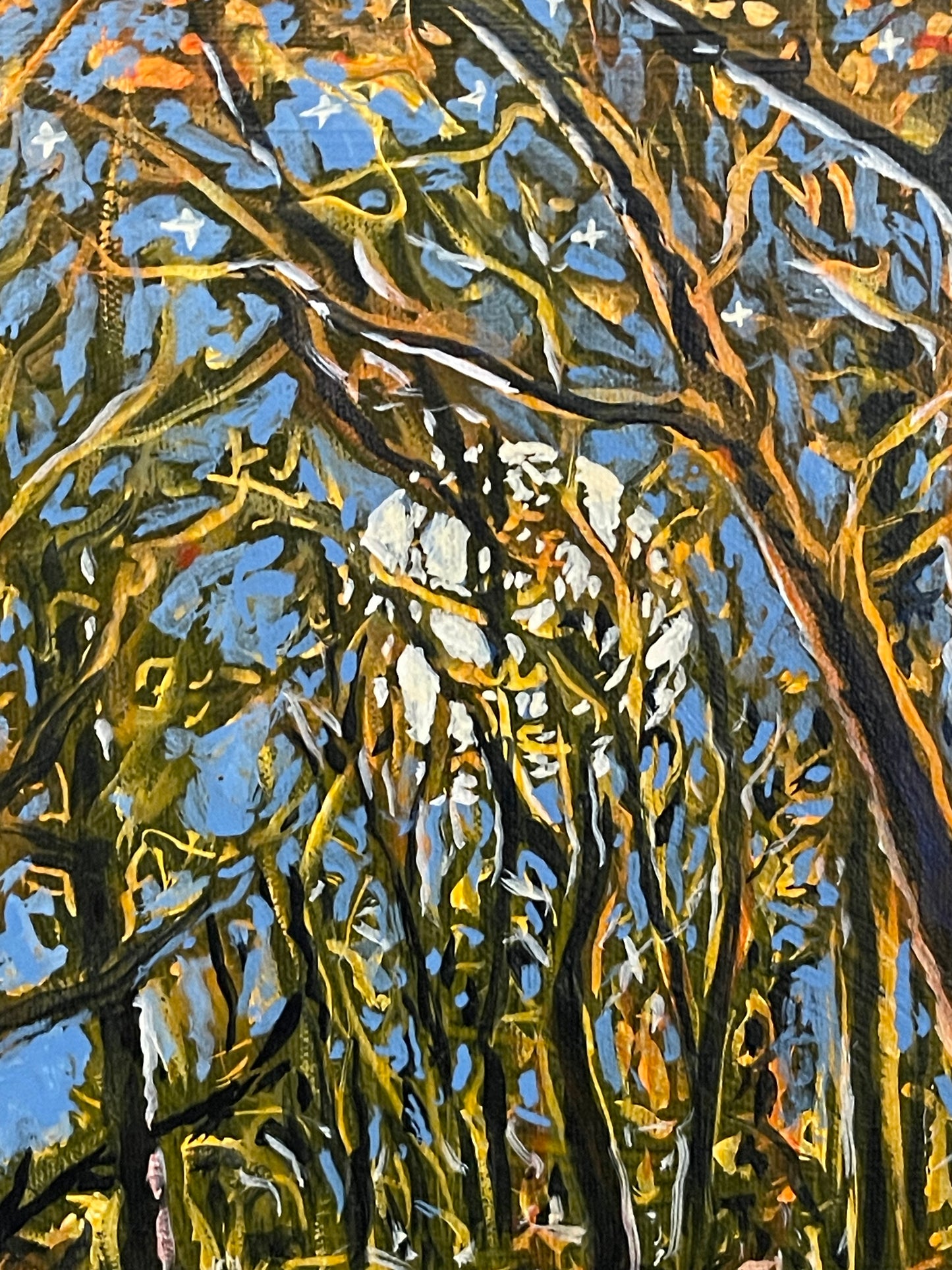 Woodland Moon