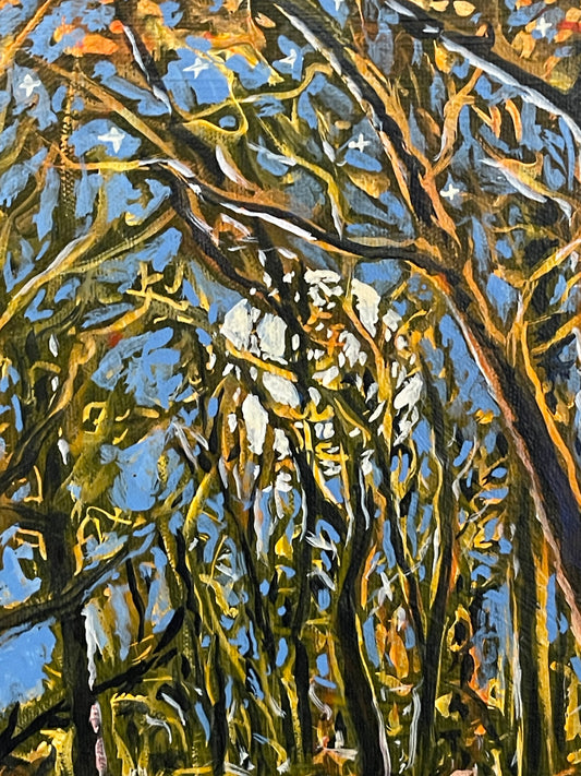 Woodland Moon