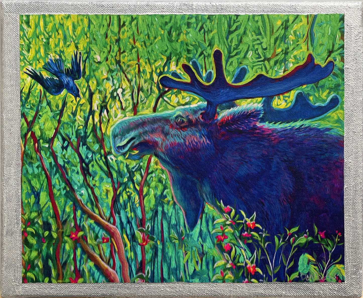The Moose and The Jay