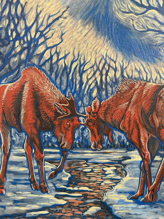 Sparring Moose