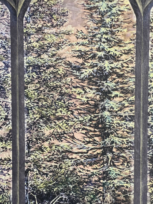Gothic Spruce