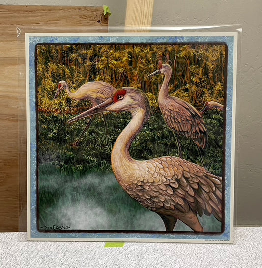 Sandhill Cranes