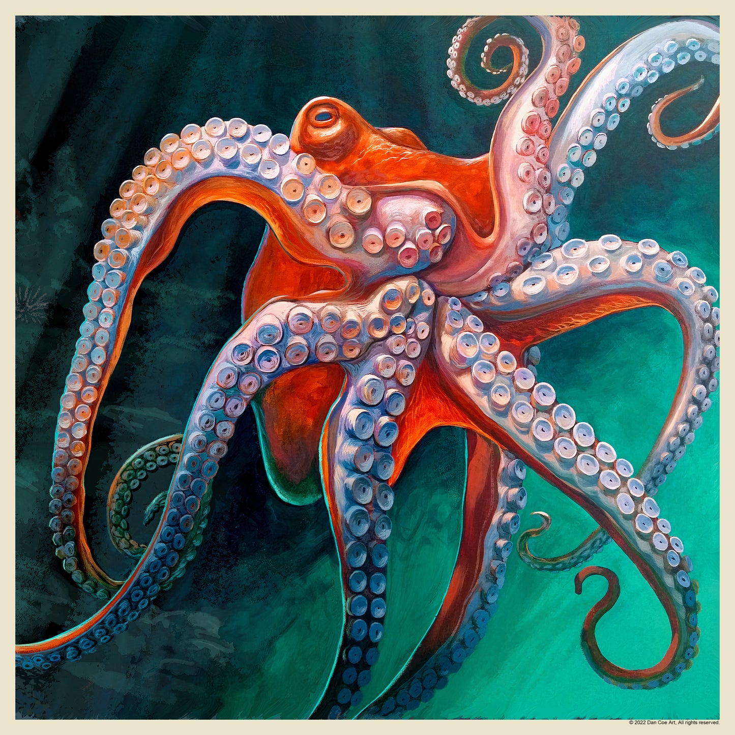 Classic Octopus