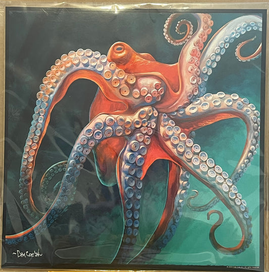 Classic Octopus