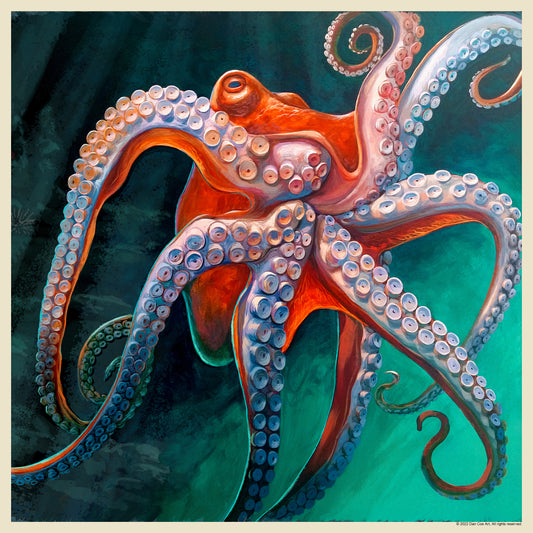 Classic Octopus