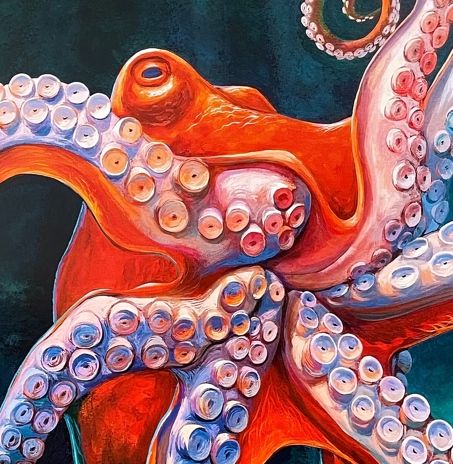 Classic Octopus