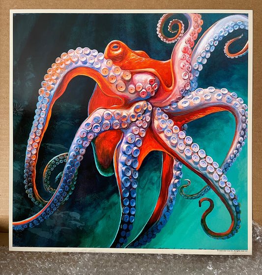 Classic Octopus